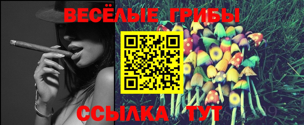 Галлюциногенные грибы Magic Shrooms Большой Камень