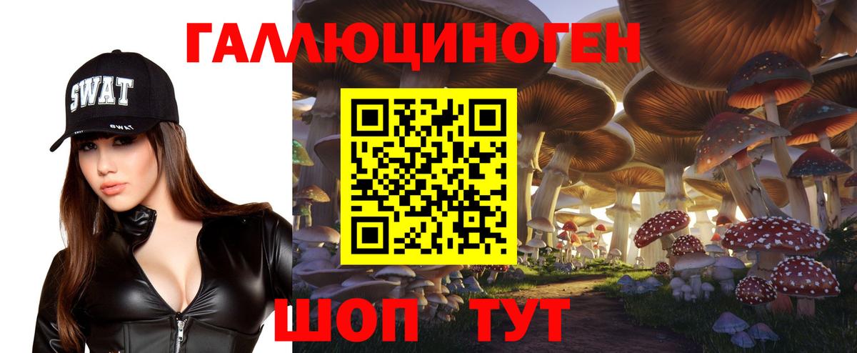 Большой Камень  Галлюциногенные грибы прущие грибы  Псилоцибиновые грибы MAGIC MUSHROOMS  Вход с VPN 